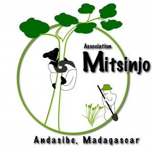 Mitsinjo